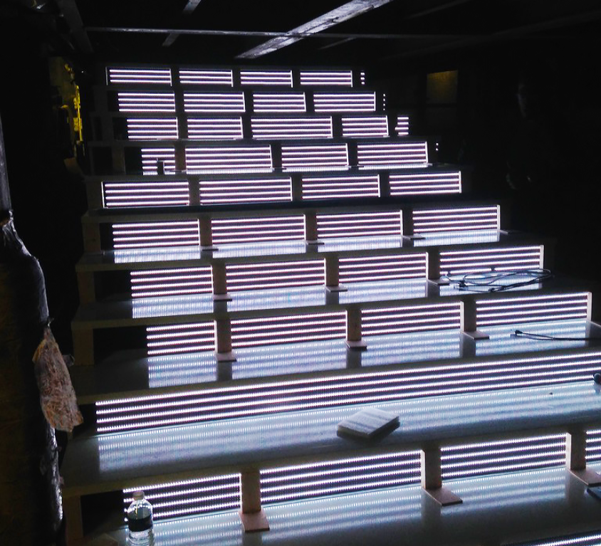 Équipement vidéo LED dans les escalier du LIDO De Paris.