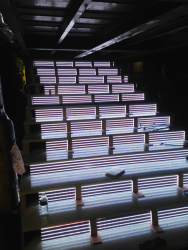 Équipement vidéo LED dans les escalier du LIDO De Paris.